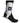 Active Ankle T2